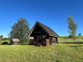 Lakeside cabin with saunas, hot-tub options